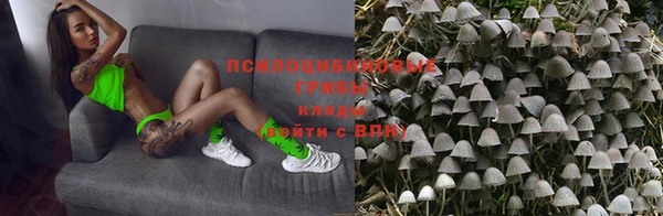 соль курить ск Алексеевка